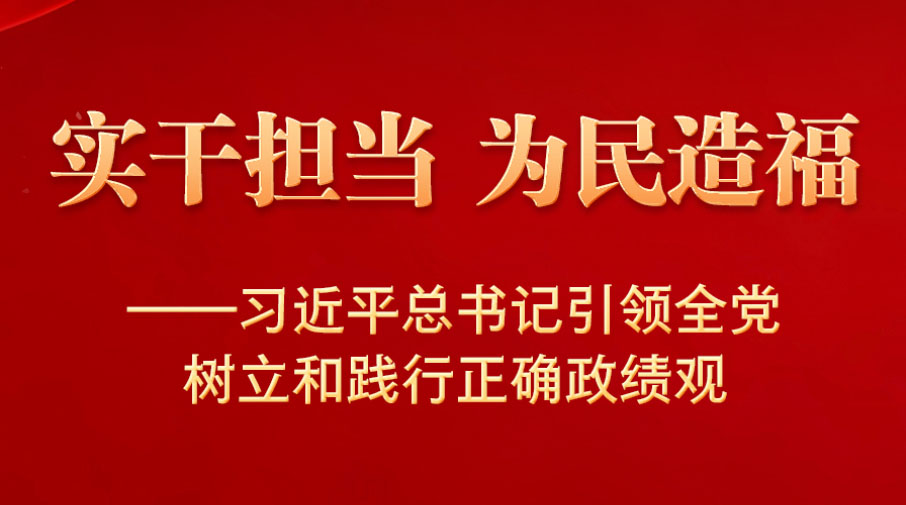 實干擔當 為民造福——習近平總書記引領全黨樹立和踐行正確政績觀
