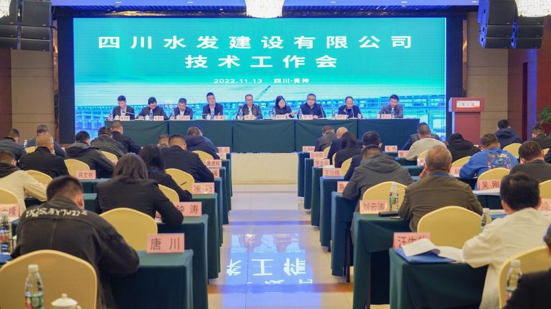 公司2022年技術(shù)工作會(huì)在青神順利召開
