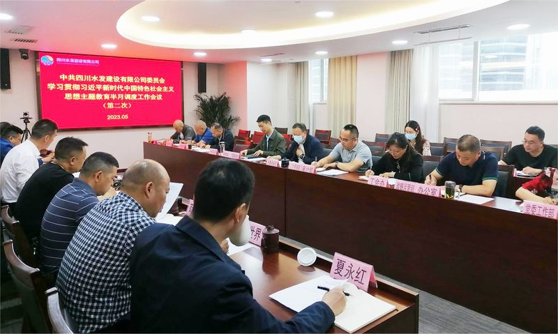 公司召開學(xué)習(xí)貫徹習(xí)近平新時代中國特色社會主義思想主題教育第二次調(diào)度工作會