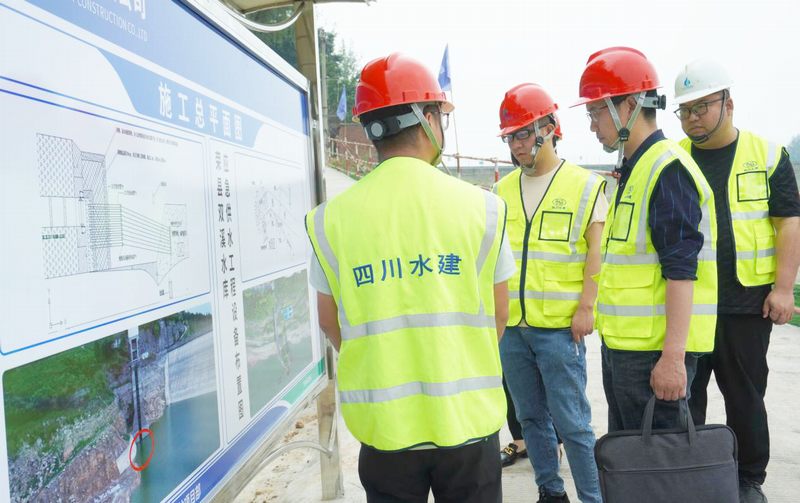 公司紀委書記陳盛華到小井溝項目開展調(diào)研工作