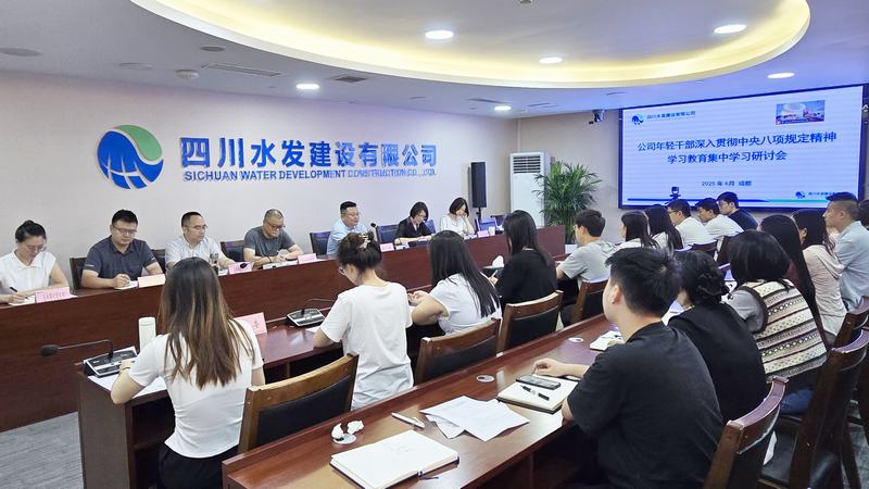 公司團委召開年輕干部集中學(xué)習(xí)研討會